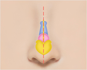 ear